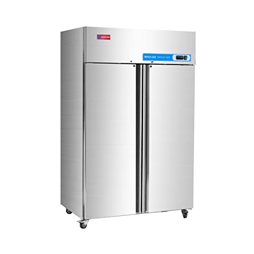 WESTLAKE Commercial Freezer, 48